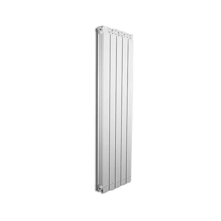 radiatore d’arredo ambiente fondital in alluminio 5 elementi garda dual 80 interasse 1000 mm
